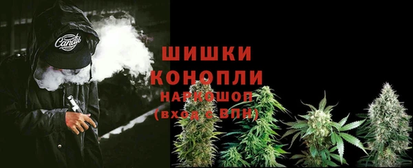 стафф Дмитровск