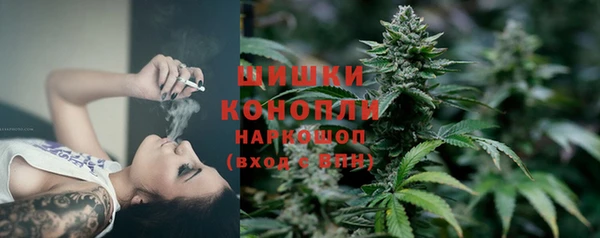 стаф Дмитриев