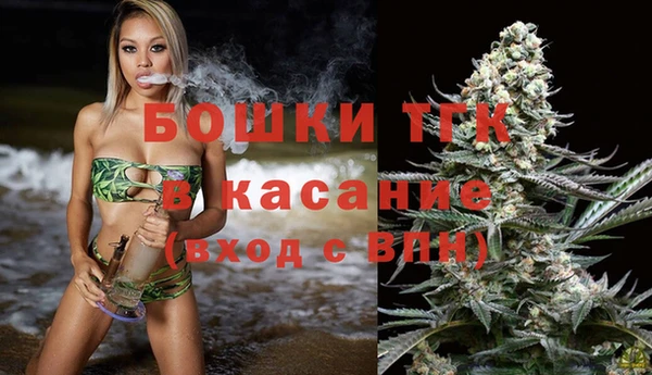 стаф Дмитриев