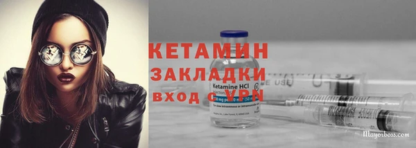 стаф Дмитриев
