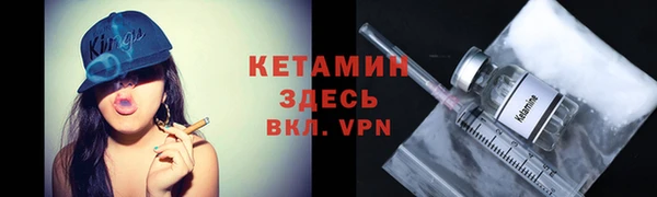 стаф Дмитриев