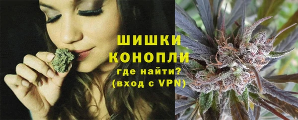 стаф Дмитриев