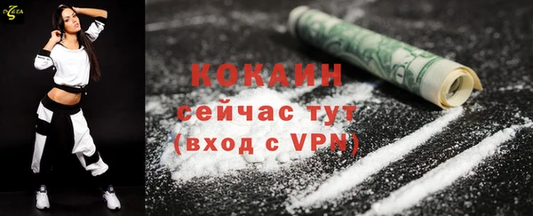 стафф Дмитровск