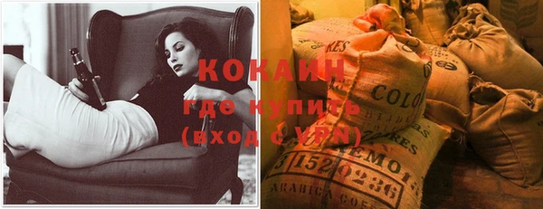 стафф Дмитровск