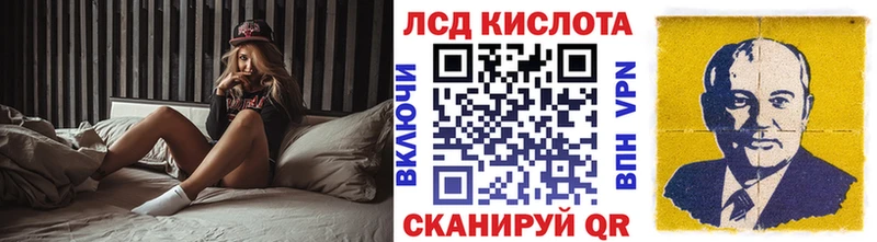 Купить закладки  Новодвинск  Марки N-bome 1500мкг 